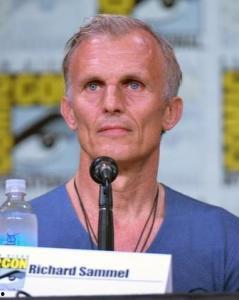 理查德塞梅尔资料,商业领袖的崛起与全球影响力