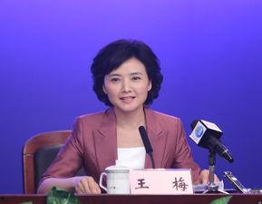 王梅个人资料,才华横溢的职场精英，生活多面手