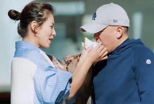 丛林法则娱乐圈结局,逆袭巅峰，荣耀归来