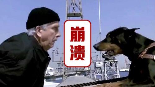 搞笑无国界,无国界搞笑大集合